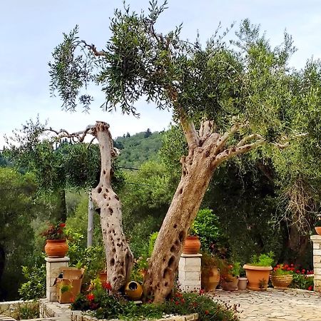 Villa Raxi Fountana Exterior foto